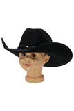 Kids Faux Suede Cutter Crown Cowboy Hat