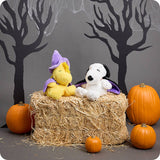 Wizard Woodstock Warmies Halloween Trick Or Treat Collection