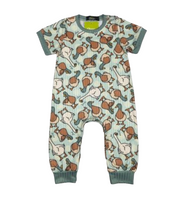 Duck Duck Goose Romper