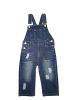 Rugged overalls